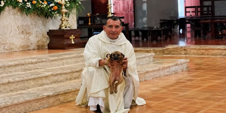 Perrita y su cachorro se unen a la misa en Hunucmá
