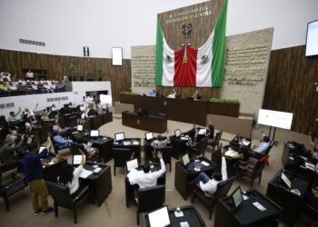La tortilla en tu mesa: ¿está realmente protegida contra aumentos?