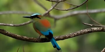 Edición de plata del Festival de las Aves Toh fortalece a Yucatán como destino ambiental