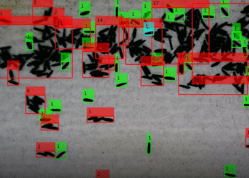 IA mexicana mejora detección de dengue con 92% de precisión