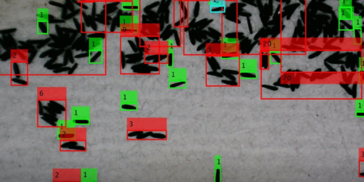 IA mexicana mejora detección de dengue con 92% de precisión