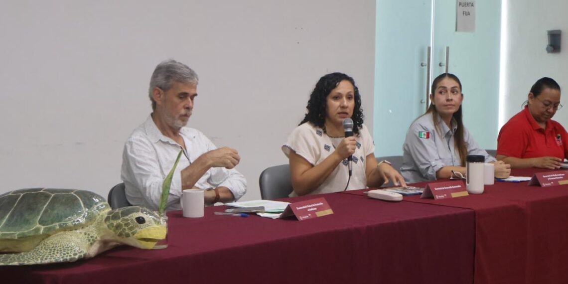 Costa bajo resguardo; Yucatán protege zona clave de anidación