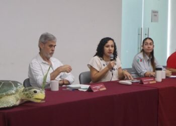 Costa bajo resguardo; Yucatán protege zona clave de anidación
