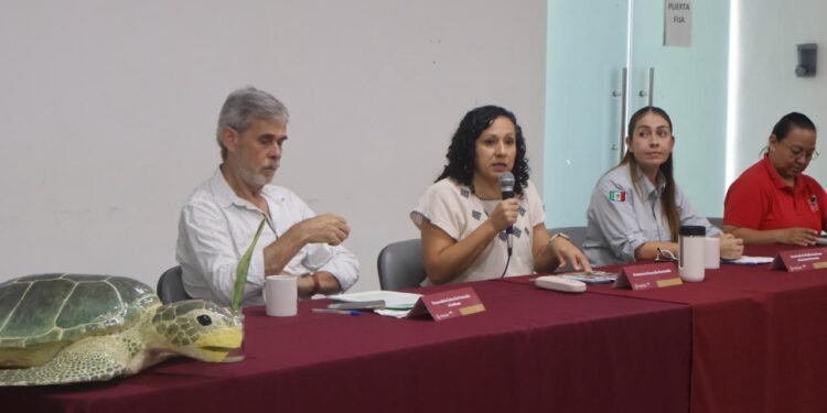 Costa bajo resguardo; Yucatán protege zona clave de anidación