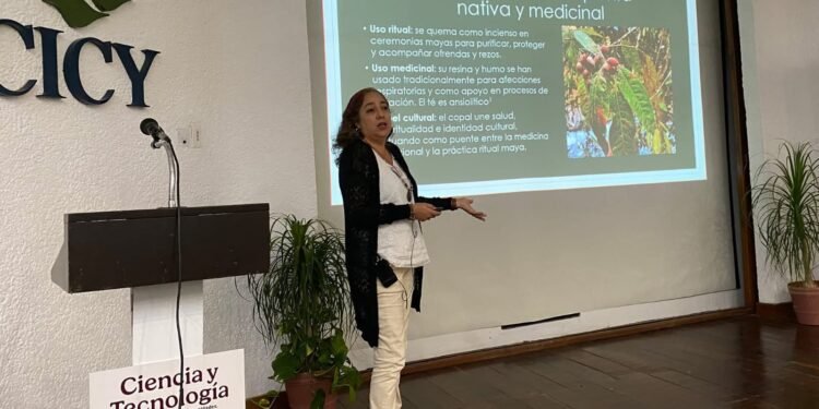 Patrimonio maya enfrenta desgaste silencioso