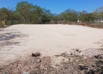 Lo arrasaron todo: vestigios mayas desaparecen en zona protegida de Mérida