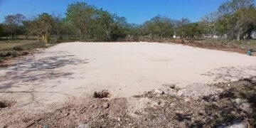 Lo arrasaron todo: vestigios mayas desaparecen en zona protegida de Mérida