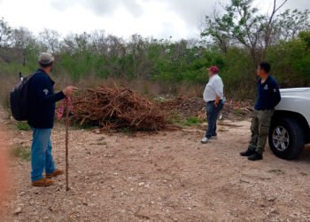 Refuerzan vigilancia en áreas naturales del país; Yucatán reporta saldo limpio tras operativo