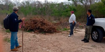 Refuerzan vigilancia en áreas naturales del país; Yucatán reporta saldo limpio tras operativo