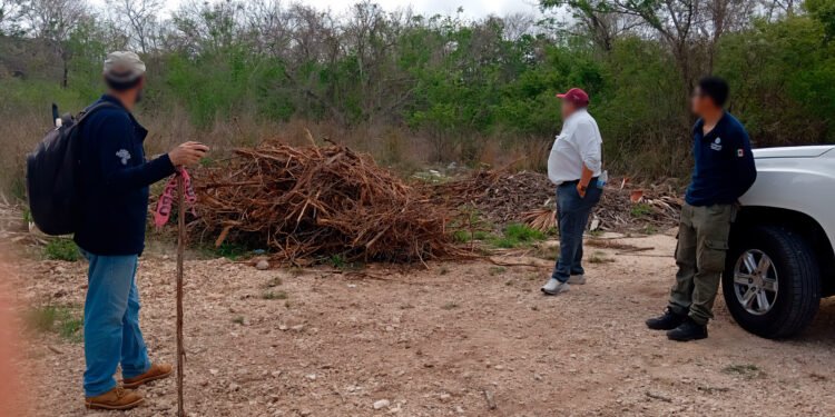 Refuerzan vigilancia en áreas naturales del país; Yucatán reporta saldo limpio tras operativo