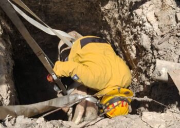 Nadie respondía… hasta que insistieron; así rescataron una burra atrapada en una fosa sanitaria en Saltillo