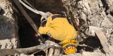 Nadie respondía… hasta que insistieron; así rescataron una burra atrapada en una fosa sanitaria en Saltillo
