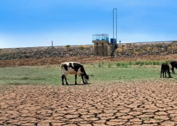 Sequía golpea al sureste: Yucatán encabeza afectaciones en la Península