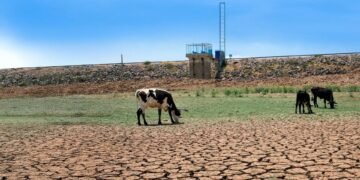 Sequía golpea al sureste: Yucatán encabeza afectaciones en la Península