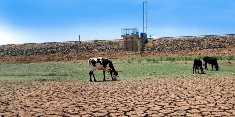 Sequía golpea al sureste: Yucatán encabeza afectaciones en la Península