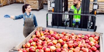 Operador de alimentos EHMO amplía su cobertura en varias regiones