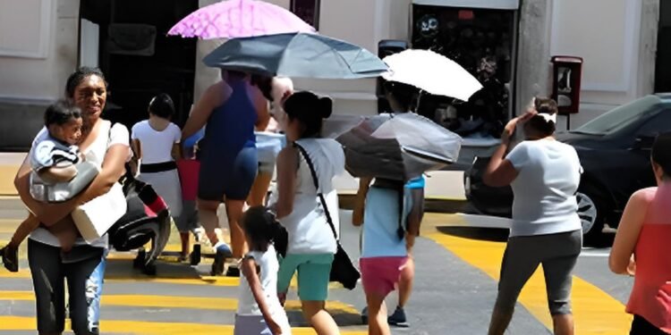 Protección Civil llama a extremar precauciones ante calor extremo