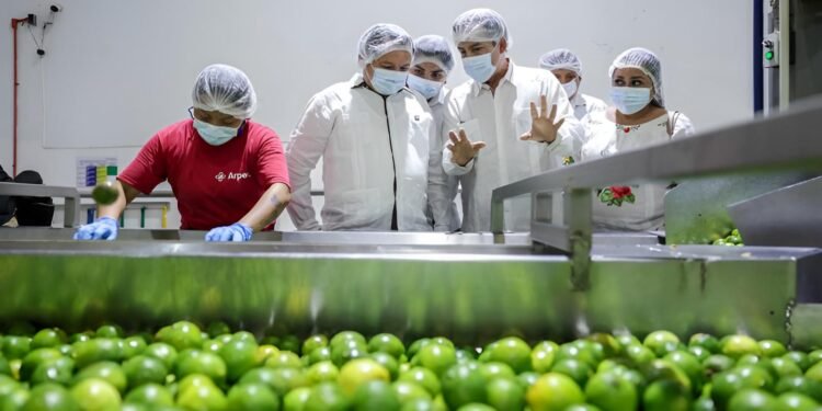 Yucatán, potencia citrícola nacional