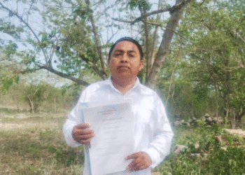 TEPJF frena el intento de “dar carpetazo” a la Defensoría Maya