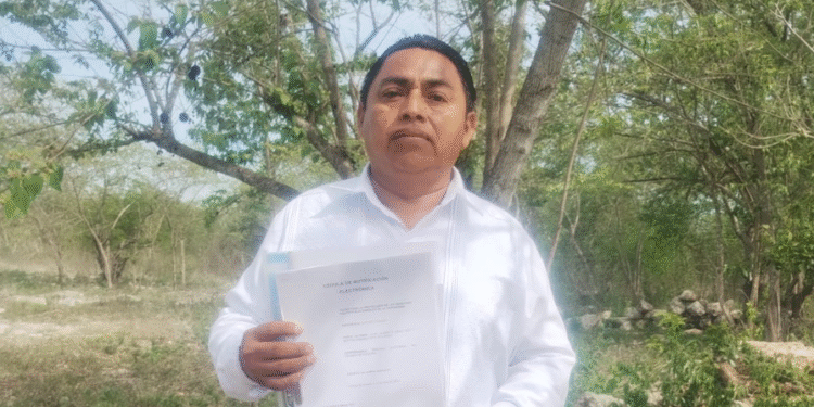 TEPJF frena el intento de “dar carpetazo” a la Defensoría Maya