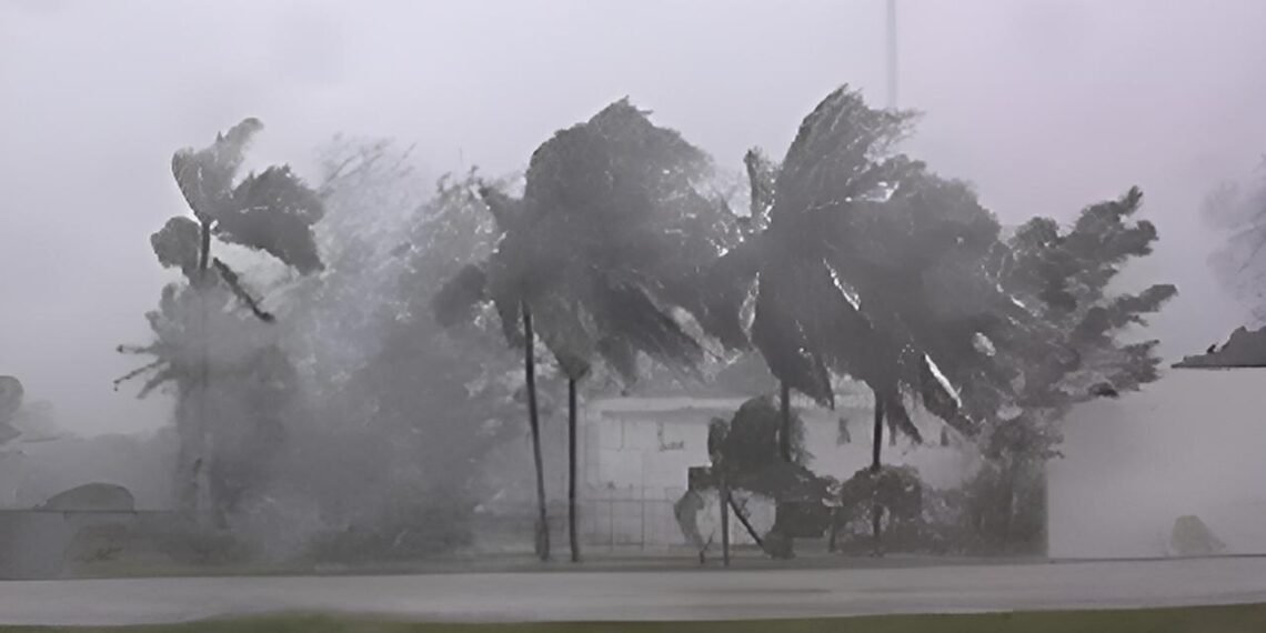 Si llega un huracán, ¿sabrías qué hacer? Yucatán refuerza prevención
