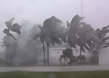 Si llega un huracán, ¿sabrías qué hacer? Yucatán refuerza prevención