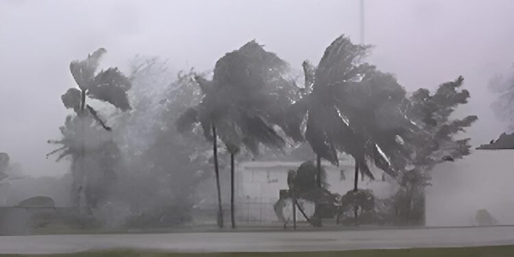 Si llega un huracán, ¿sabrías qué hacer? Yucatán refuerza prevención