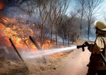 Preparan escudo contra incendios ante temporada de alto riesgo