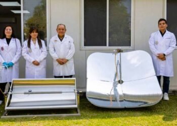 Transforman lirio acuático en energía con tecnología desarrollada en el IPN