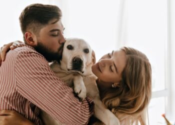 Italia da paso histórico: reconoce licencia laboral por cuidado de mascotas