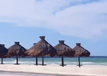 Playas yucatecas en condiciones óptimas para vacacionistas