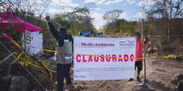 ¿Quién devastó la selva de Umán? Profepa frena desmonte ilegal