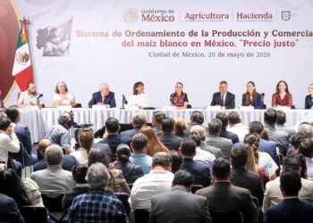 Compras anticipadas y protección al campo; así será el nuevo acuerdo para el maíz