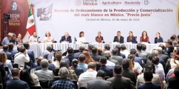 Compras anticipadas y protección al campo; así será el nuevo acuerdo para el maíz