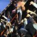 BTS sale sin un rasguño de su noche de lucha libre, te contamos cómo les fue