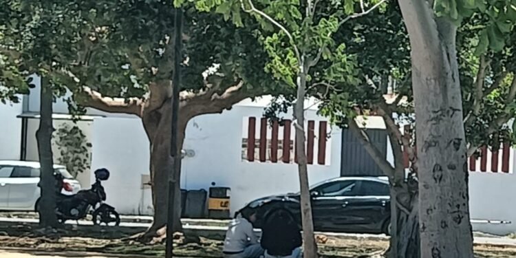 Yucatán se convertirá en un horno; sensación térmica llegaría a 53 grados