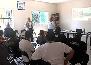¿Cómo proteger el desove de tortugas marinas? Dzemul refuerza operativo