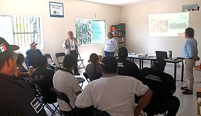 ¿Cómo proteger el desove de tortugas marinas? Dzemul refuerza operativo