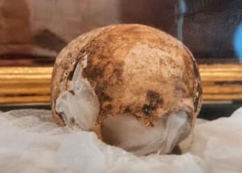¡Santo sacrilegio! Ladrón entra a una iglesia y huye con cráneo venerado por siglos