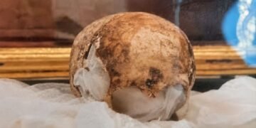 ¡Santo sacrilegio! Ladrón entra a una iglesia y huye con cráneo venerado por siglos