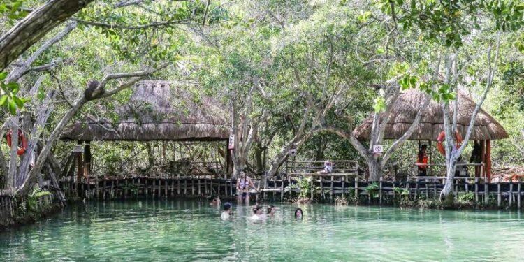 ¿Planeas salir en mayo? Esto te costará visitar El Corchito y Chichén Itzá