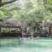 ¿Planeas salir en mayo? Esto te costará visitar El Corchito y Chichén Itzá