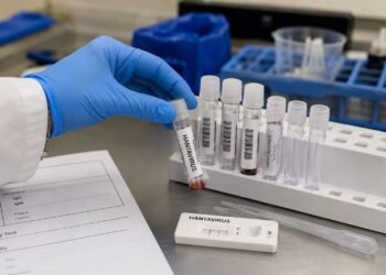 ¿Puede llegar el hantavirus a México? Expertos responden tras la alerta sanitaria internacional