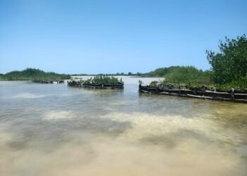 ¿Puede un pequeño puerto salvar la costa yucateca? Chabihau ya dio el primer paso