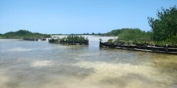 ¿Puede un pequeño puerto salvar la costa yucateca? Chabihau ya dio el primer paso