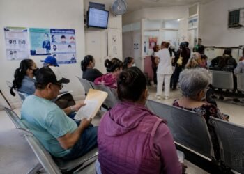 ¿México se prepara para el hantavirus? Salud emite aviso epidemiológico tras brote internacional