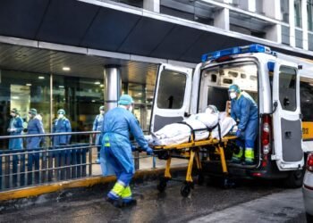 Confirman otro caso de hantavirus en España ligado al crucero MV Hondius