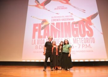 “Flamingomanía” invade Mérida; documental sobre flamencos desborda el Gran Museo Maya