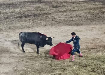 ¿Corridas sin sangre? Cambian las reglas de la fiesta taurina en Tixkokob