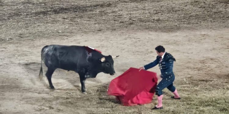 ¿Corridas sin sangre? Cambian las reglas de la fiesta taurina en Tixkokob